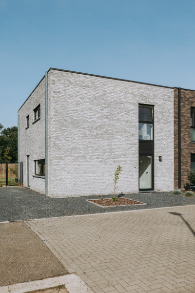 Zwaan