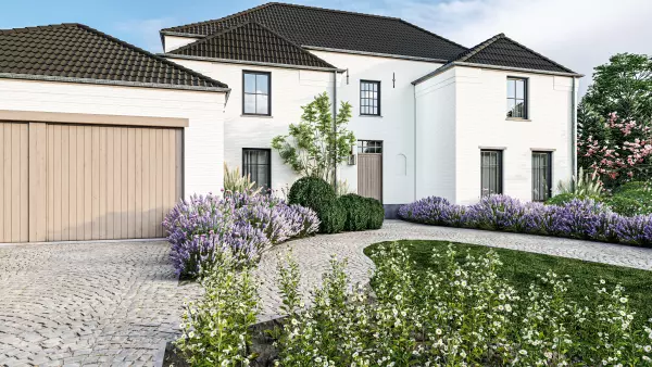 Andescondor extra image 6