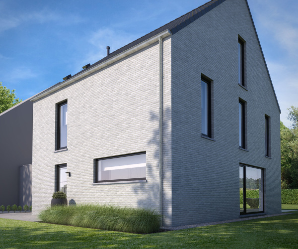 Blauwe pauw extra image 3