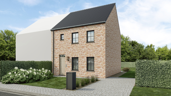 Dwergvalk main image