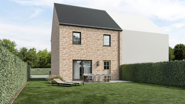 Dwergvalk extra image 3