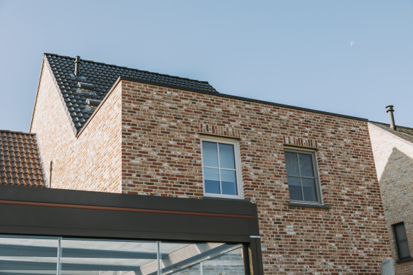 Parelduiker extra image 8