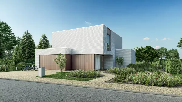 Struisvogel main image