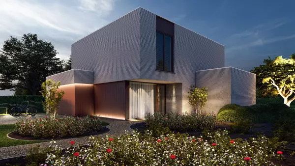 Struisvogel extra image 7