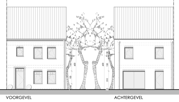 Dwergmeeuw extra image 6