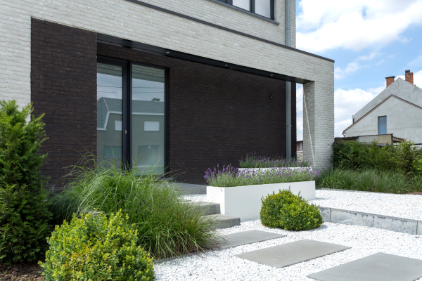 Kwikstaart extra image 1