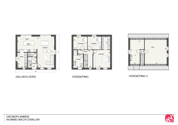 Nachtzwaluw extra image 5