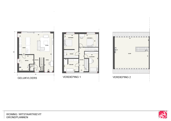 Witstaartkievit extra image 3