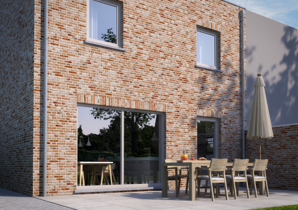 Zilvermeeuw extra image 2