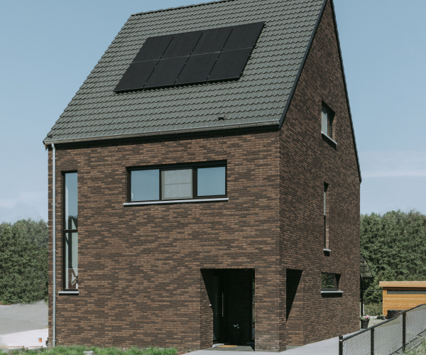 Zwarte Specht main image
