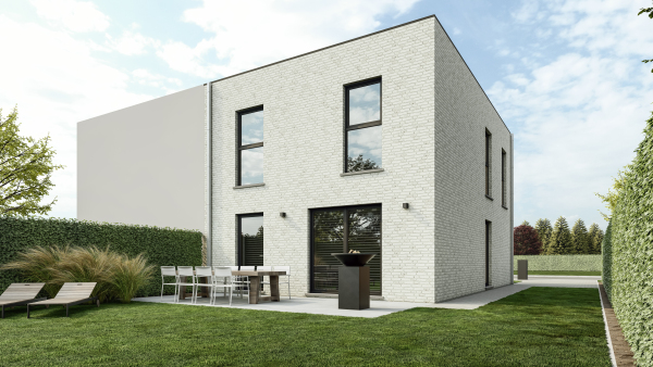 Witte pelikaan extra image 4